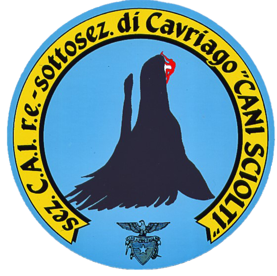 CAI CANI SCIOLTI